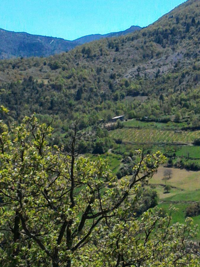 Ferme La Viste Villa La Roche-sur-le-Buis Kültér fotó